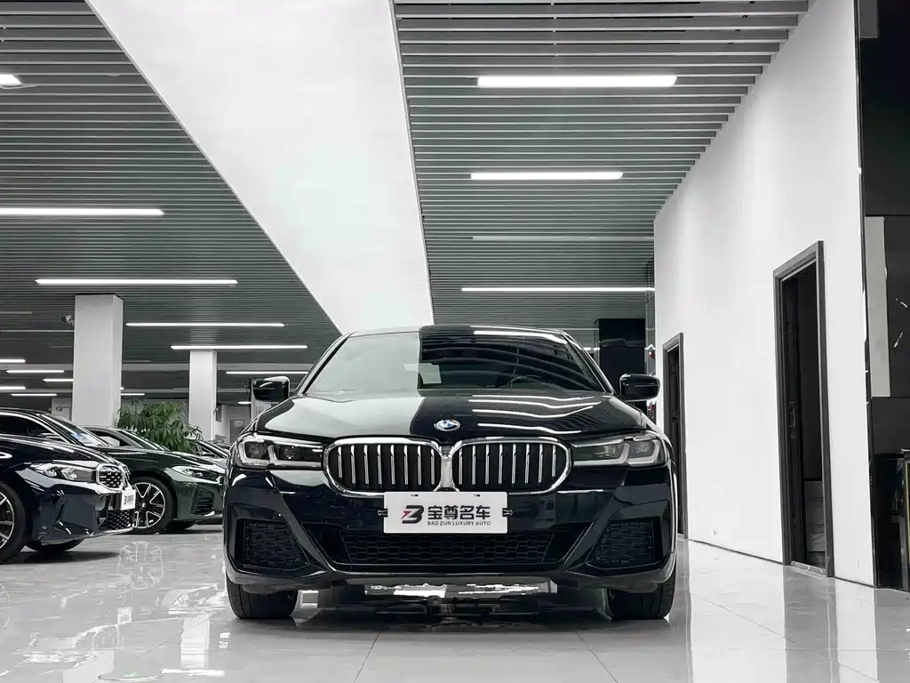 BMW 5 Series 2021