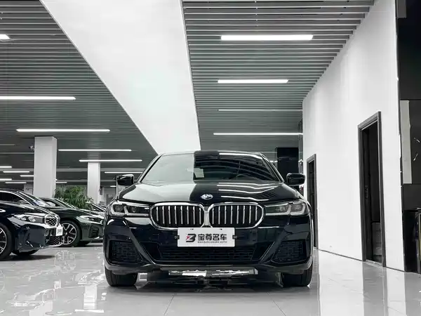 BMW 5 Series 2021