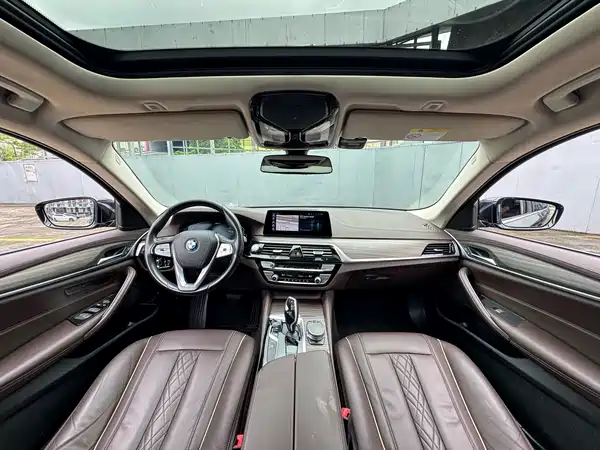 BMW 5 Series New Energy 2020