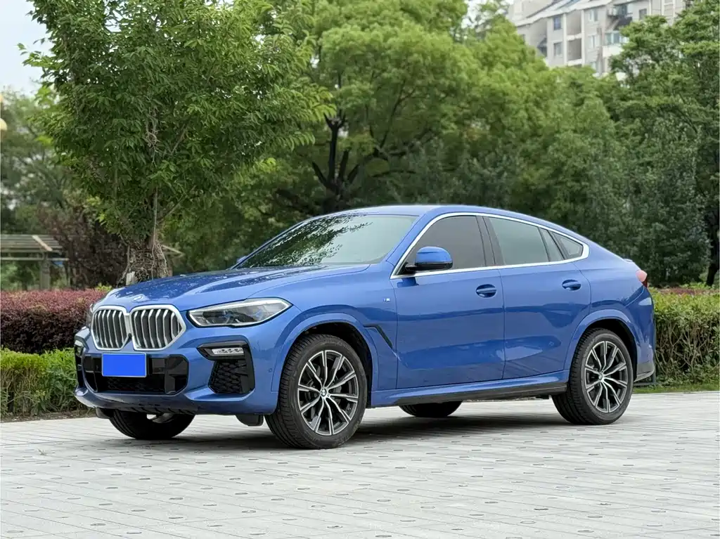 BMW X6 2021