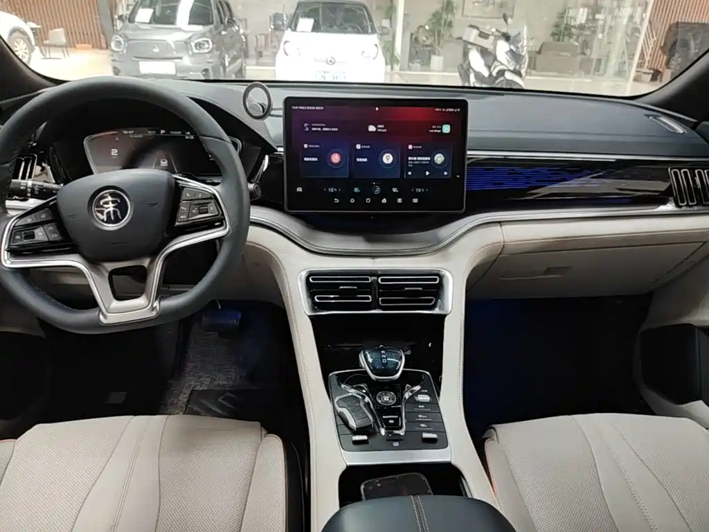BYD Song PLUS New Energy 2021 — фото 13