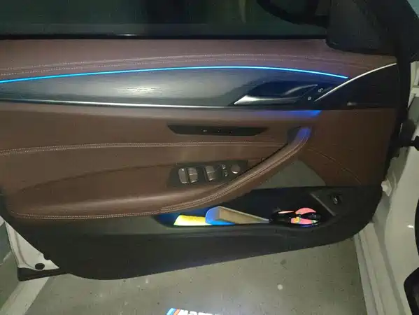 BMW 5 Series 2021
