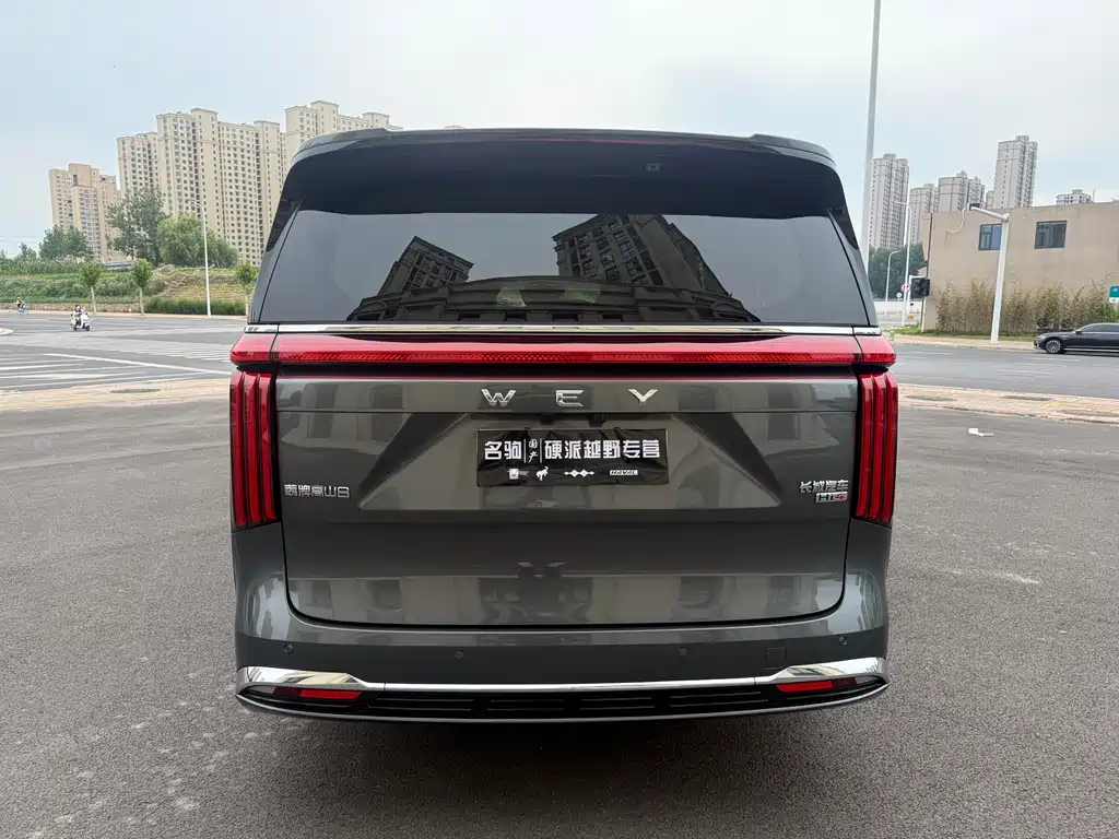 Wey Gaoshan 2025