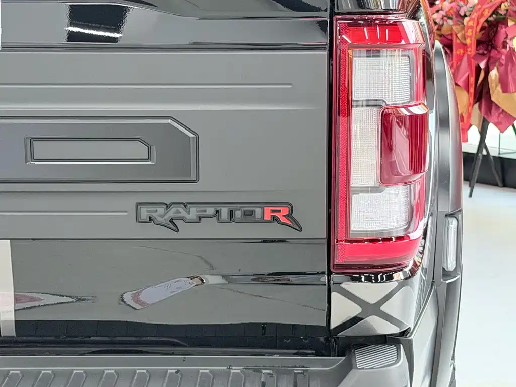 Ford F-150 Raptor 2024 — фото 23