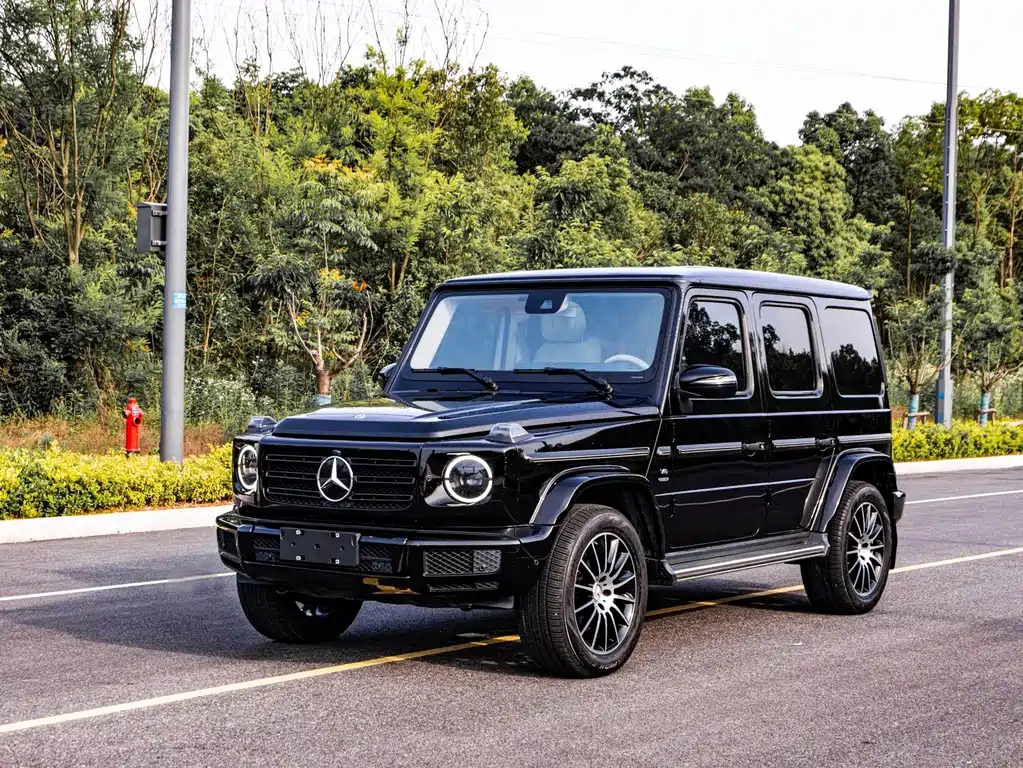 Mercedes-Benz G-Class 2020 — фото 1