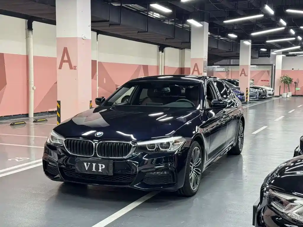 BMW 5 Series 2019