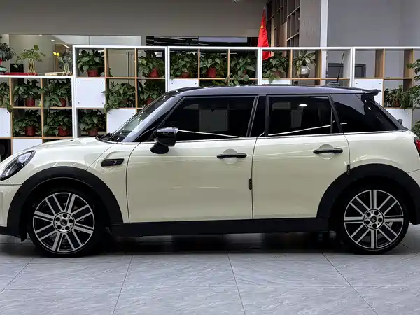 MINI MINI 2022