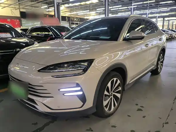 BYD Song PLUS New Energy 2024