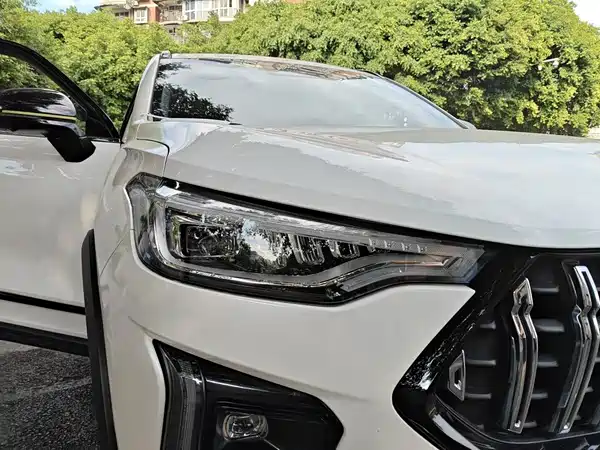 Haval Red Rabbit 2021