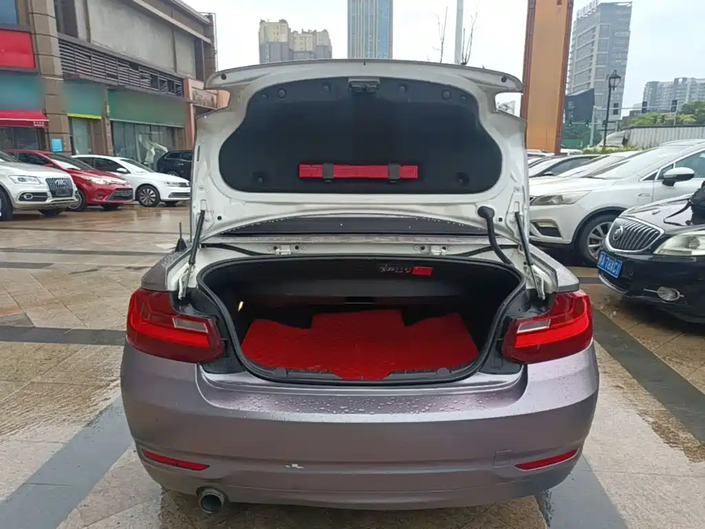 BMW 2 Series 2015 — фото 19