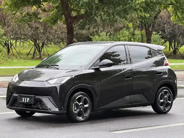 BYD Seagull 2024