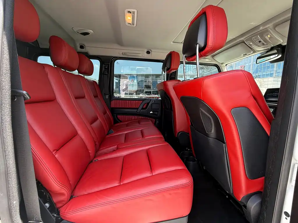 Mercedes-Benz G-Class 2018 — фото 16