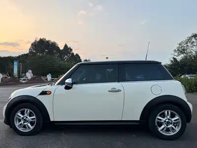 MINI MINI 2012