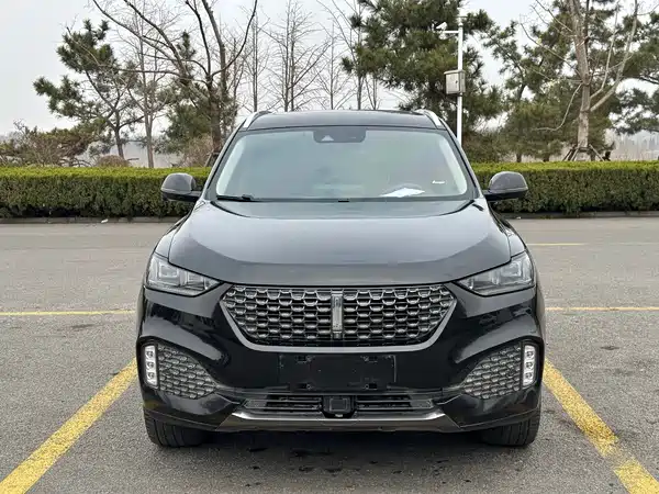 Wey VV6 2020