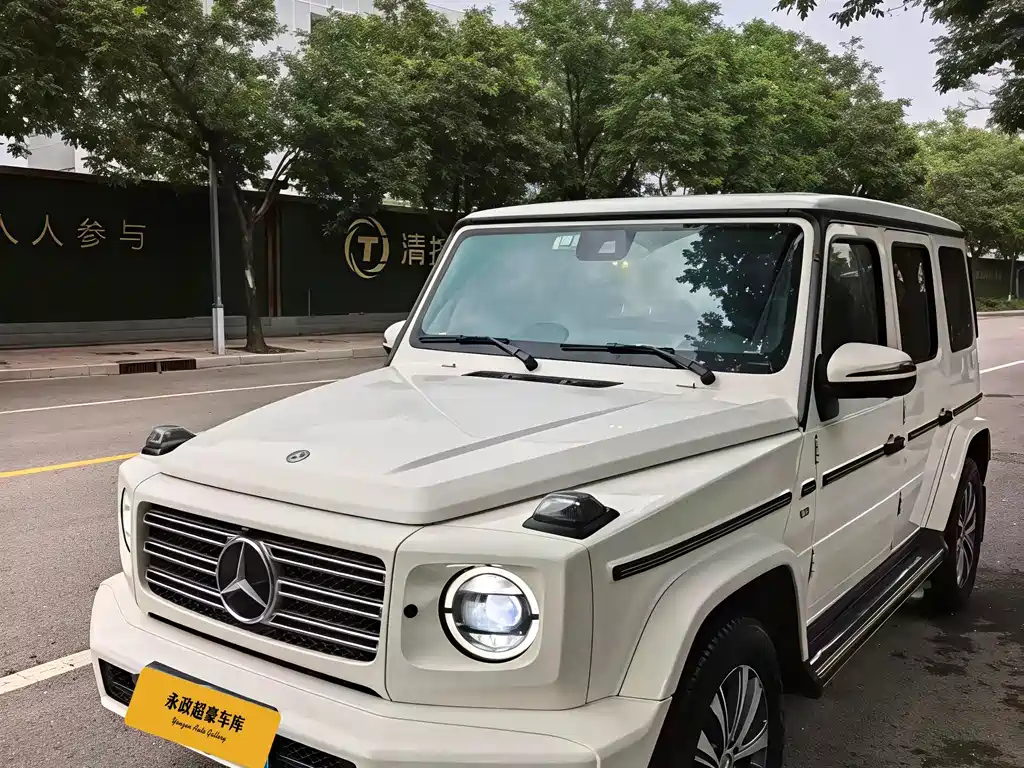 Mercedes-Benz G-Class 2019 — фото 1