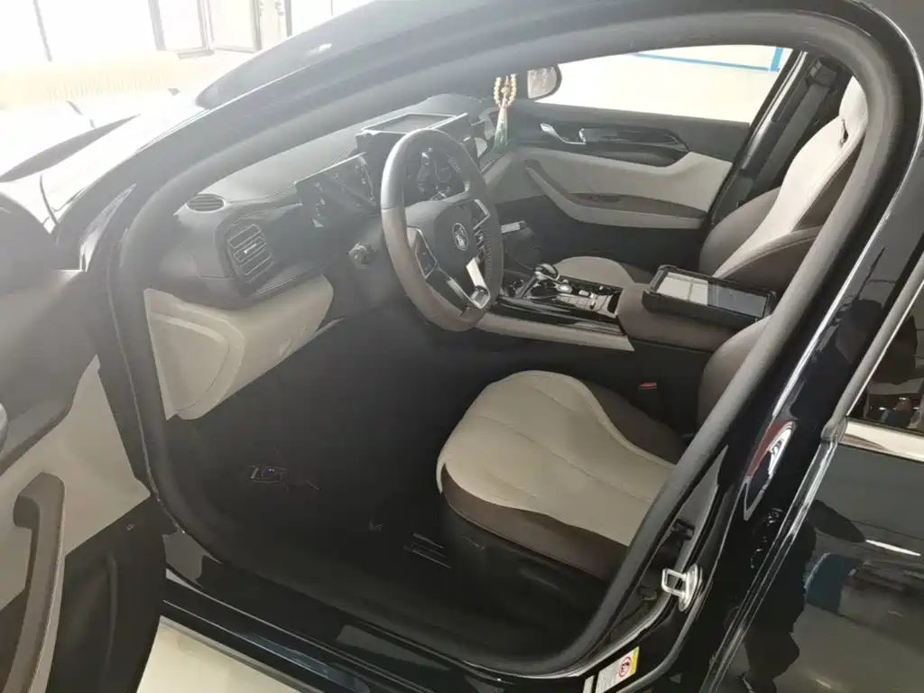 BYD Qin PLUS 2024 — фото 15
