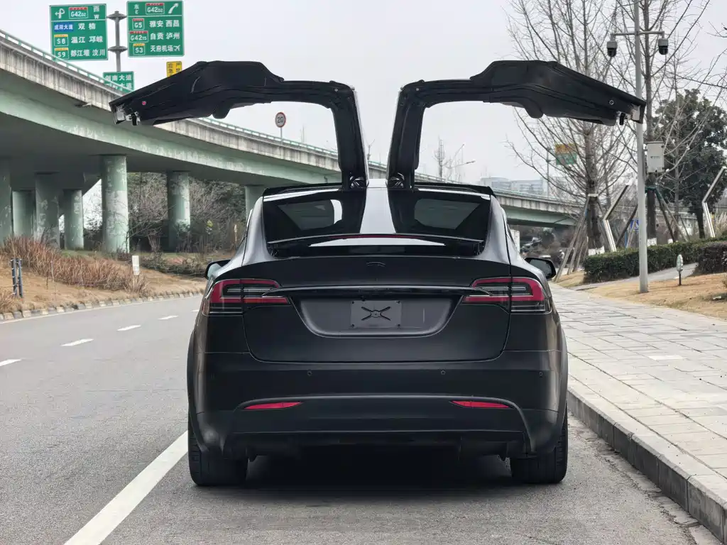 Tesla Model X 2019 — фото 5