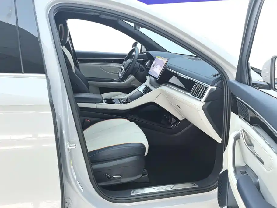 BYD Song PLUS New Energy 2024 — фото 8