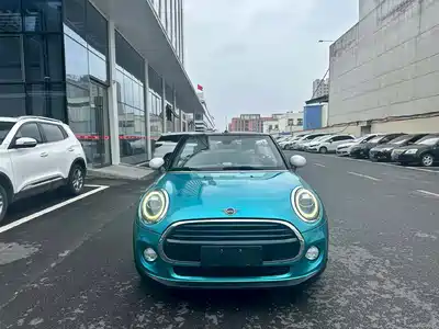 MINI MINI 2018