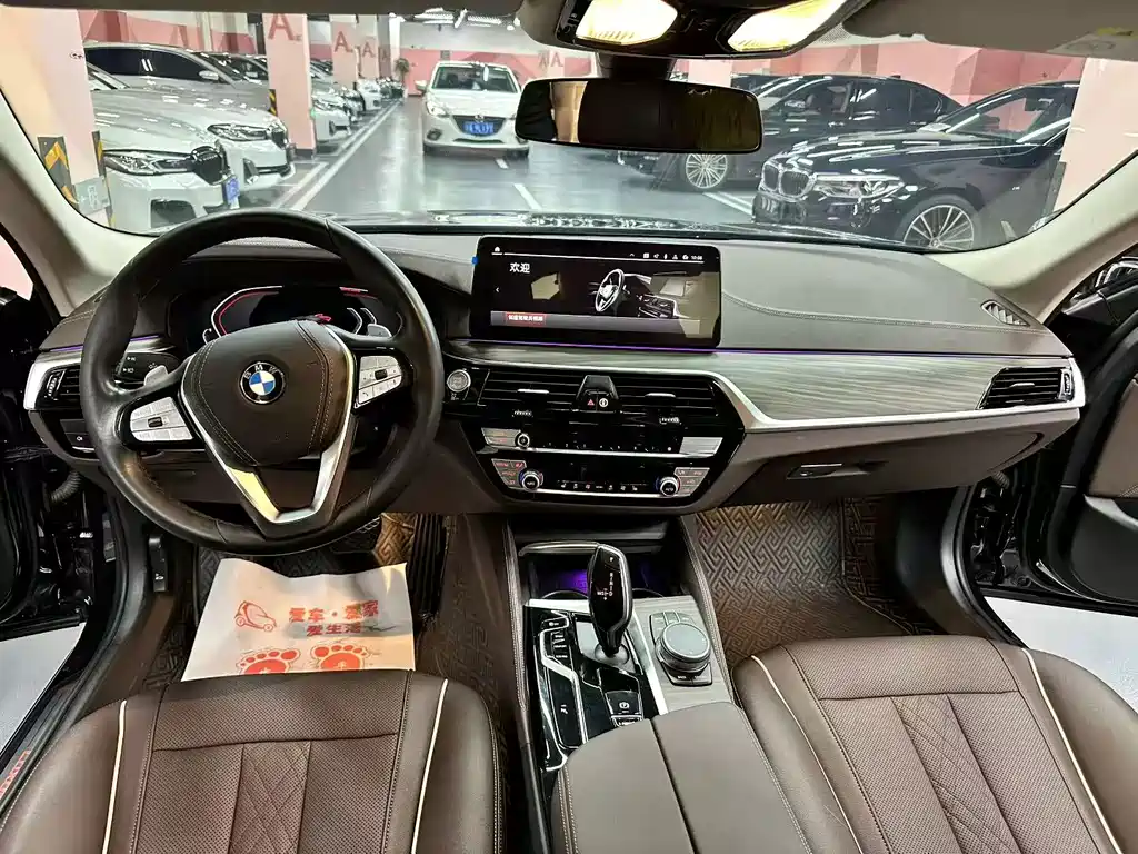 BMW 5 Series 2021