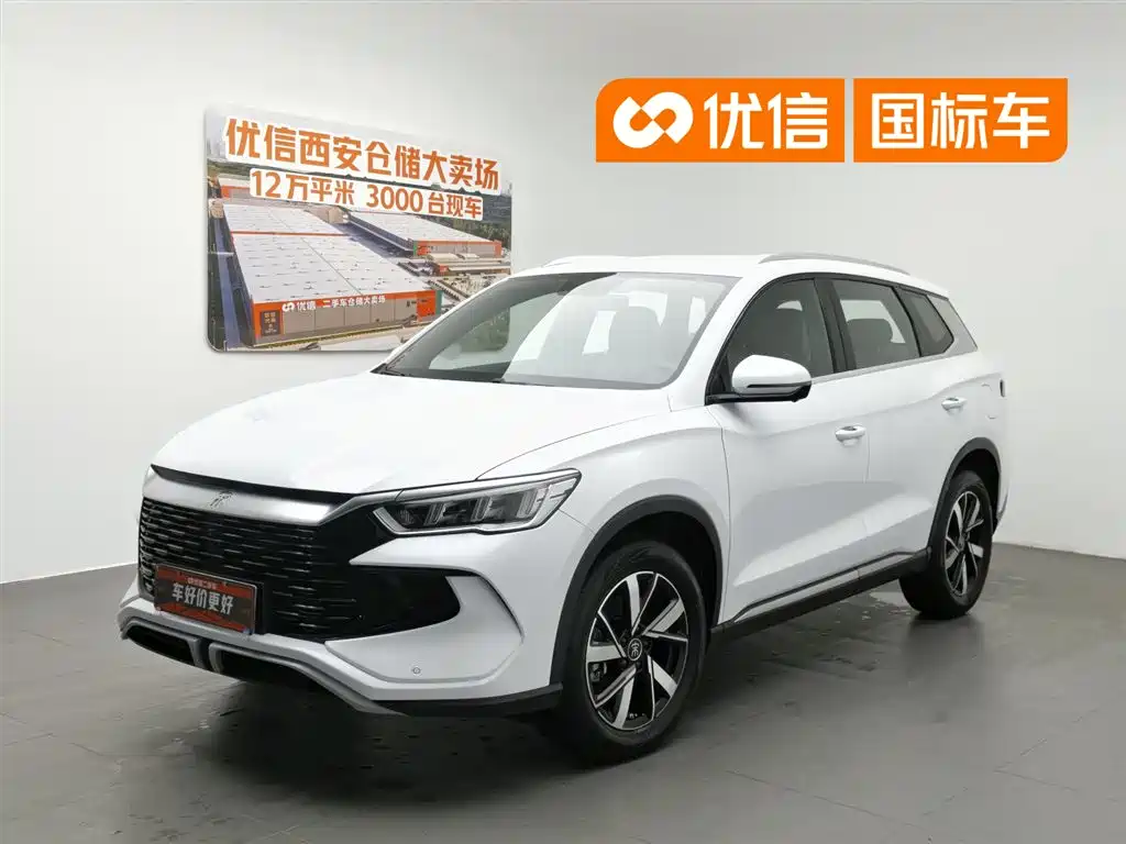 BYD Pro New Energy 2024