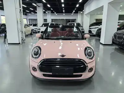MINI MINI 2018