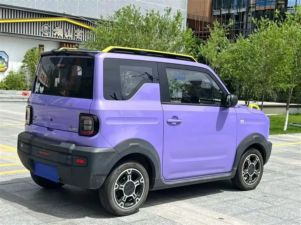 Galaxy Panda 2024