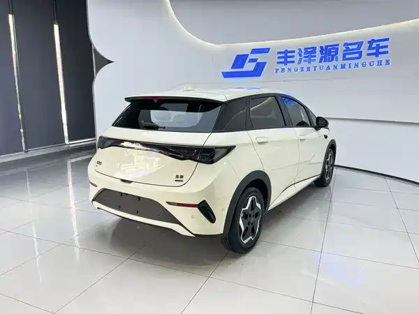 BYD Dolphin 2025