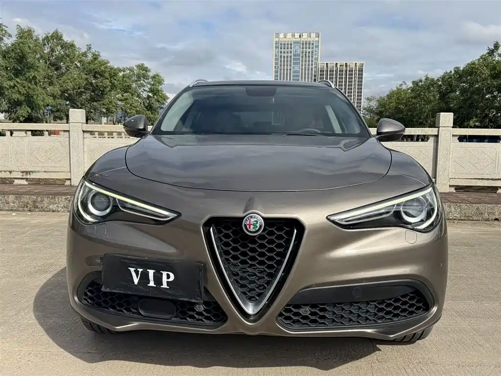 Alfa Romeo Stelvio 2019 — фото 19