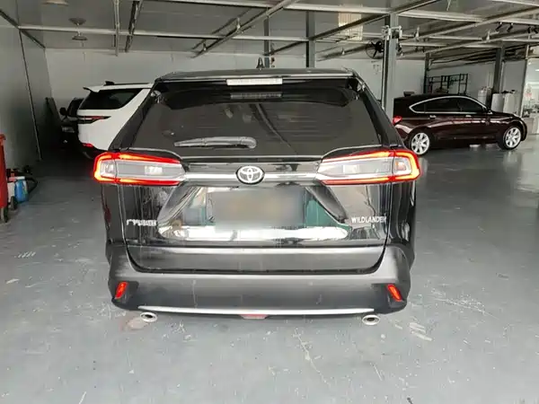 Toyota Wildlander 2020