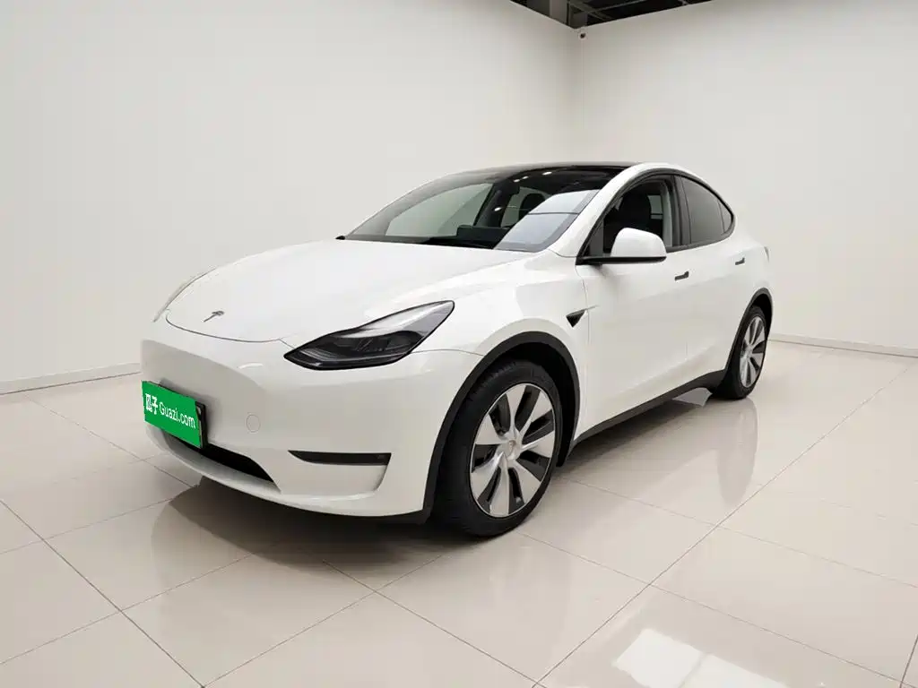 Tesla Model Y 2021 — фото 1