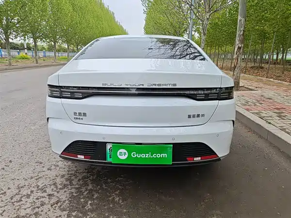 BYD Destroyer 05 2024