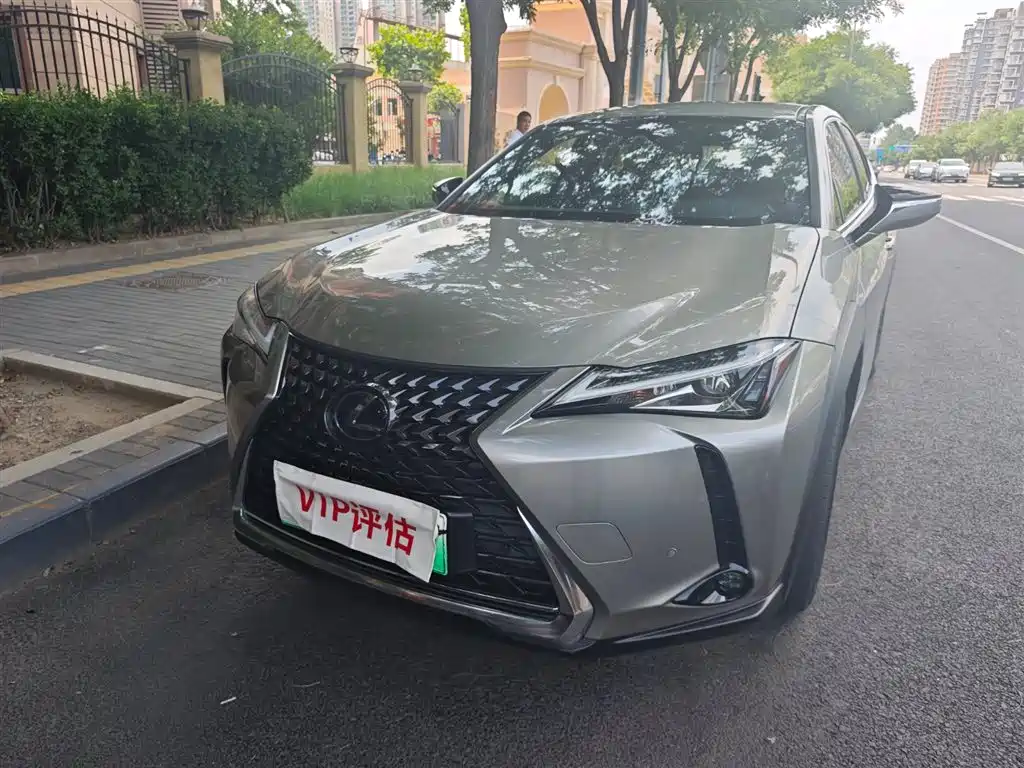 Lexus UX New Energy 2020 — фото 2