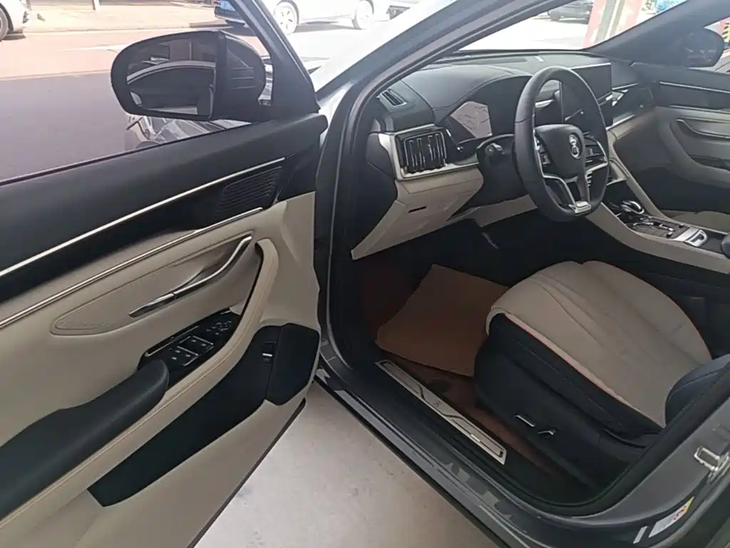 BYD Song PLUS New Energy 2023 — фото 16
