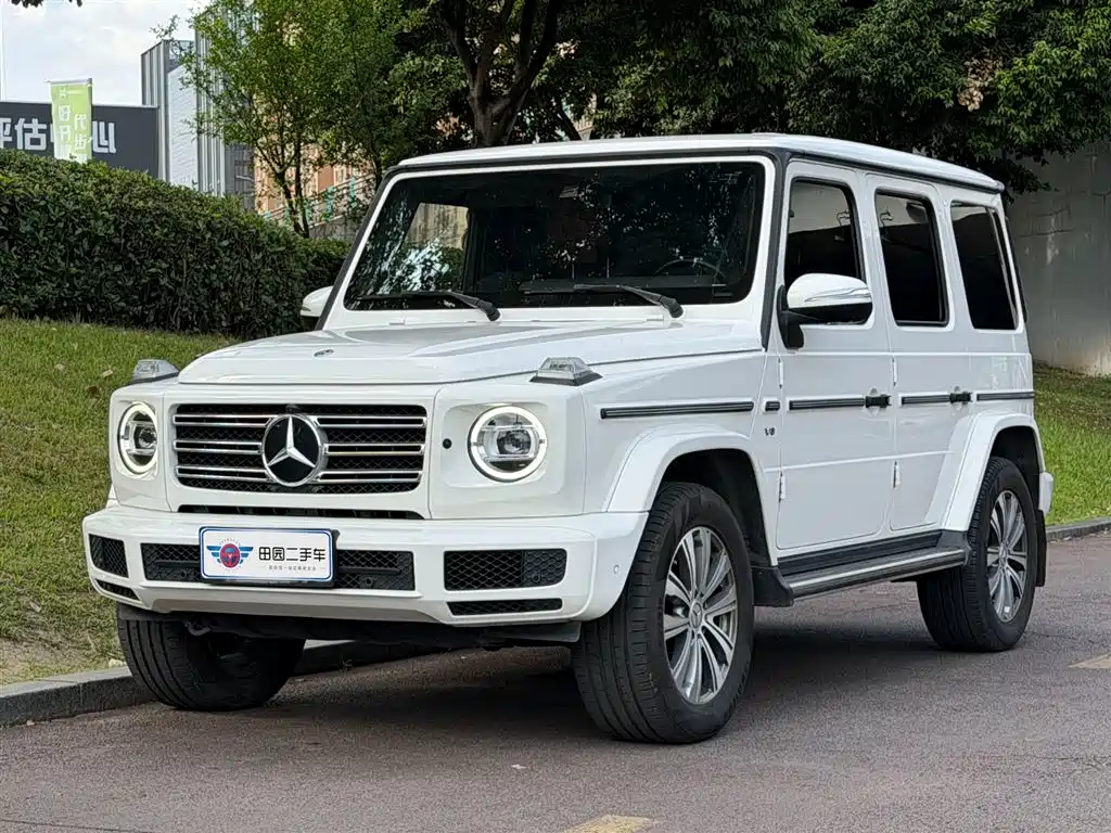Mercedes-Benz G-Class 2020 — фото 1