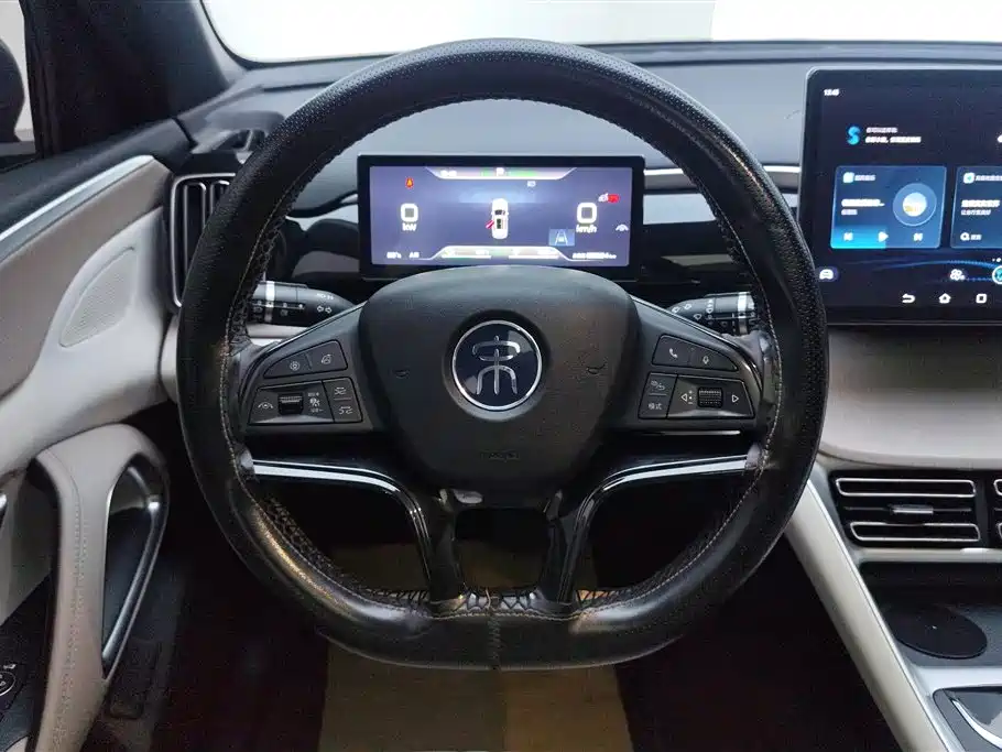 BYD Pro New Energy 2024 — фото 15