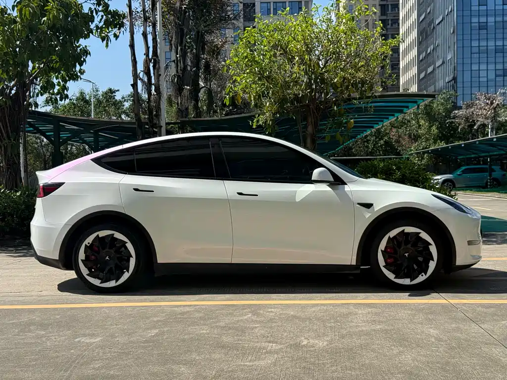 Tesla Model Y 2021 — фото 12