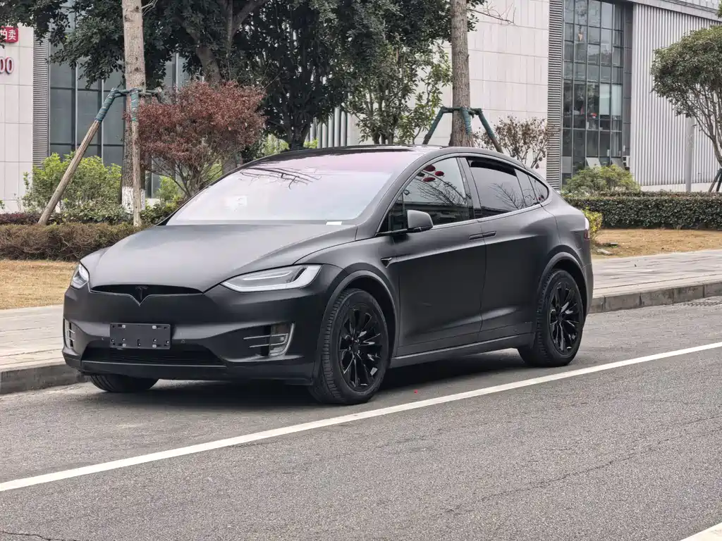 Tesla Model X 2019
