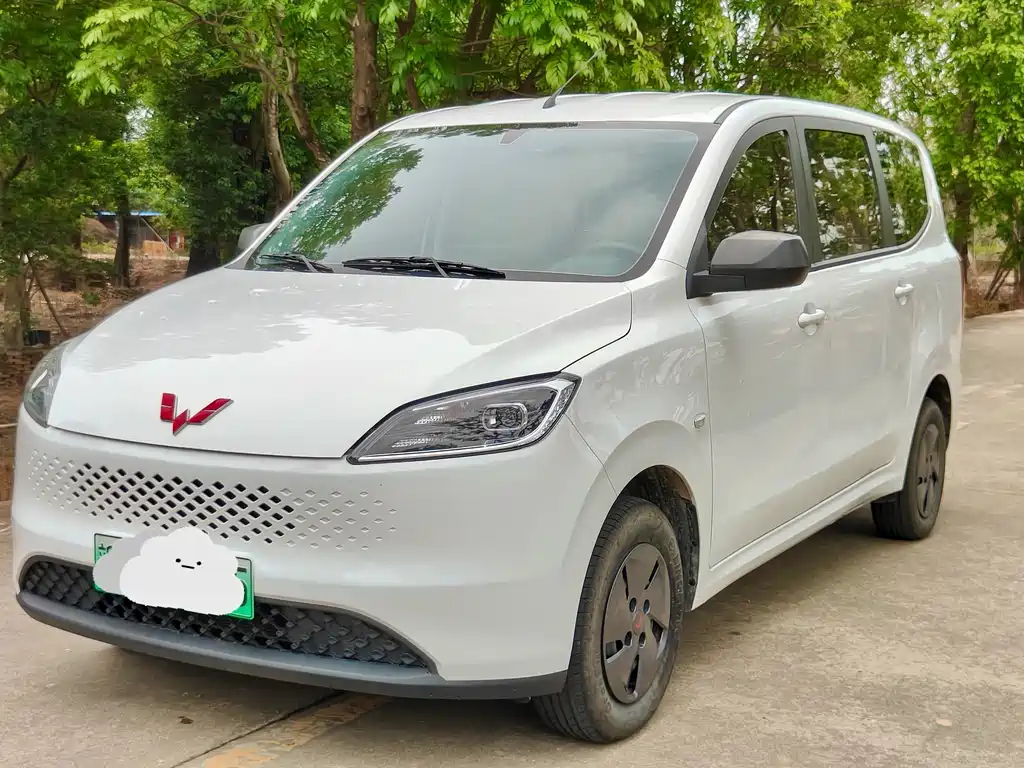 Wuling Hongguang New Energy 2025