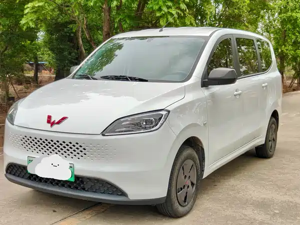 Wuling Hongguang New Energy 2025