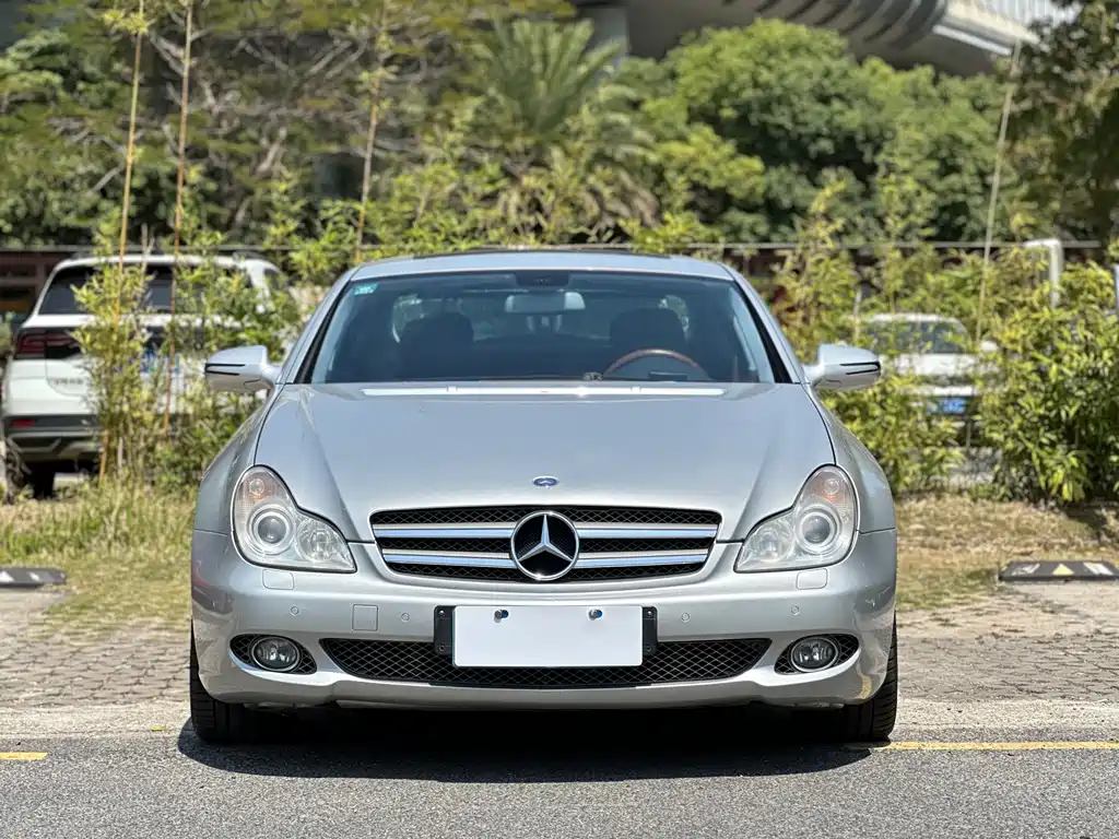 Mercedes-Benz CLS 2010 — фото 2