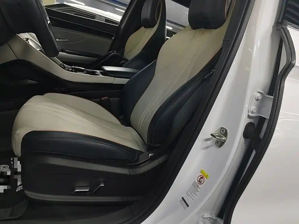 BYD PLUS New Energy 2025 — фото 15