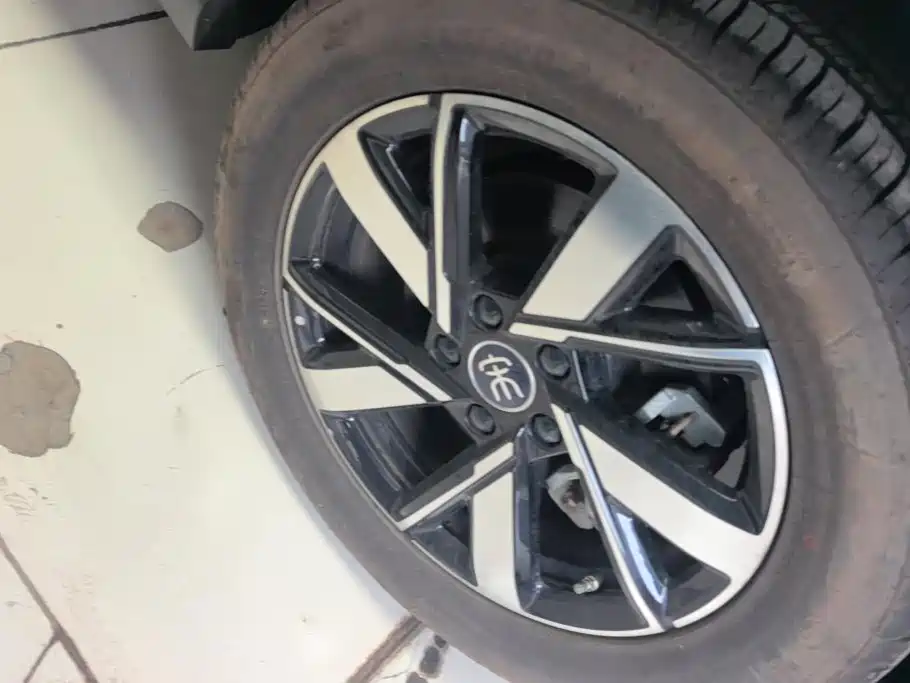 BYD Song Pro New Energy 2024 — фото 6