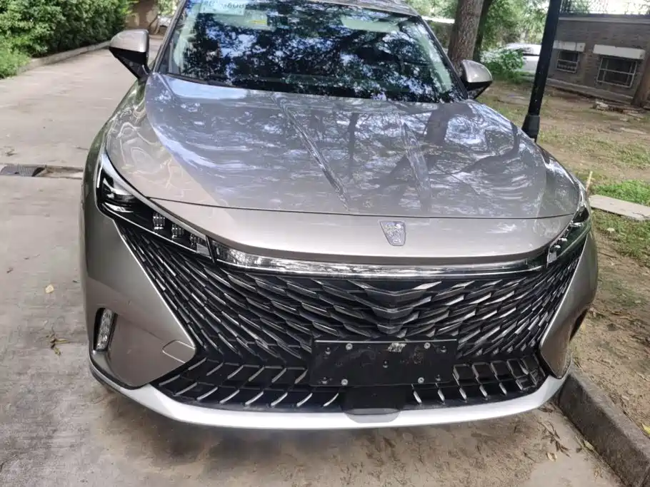 Roewe RX5 New Energy 2025 — фото 2