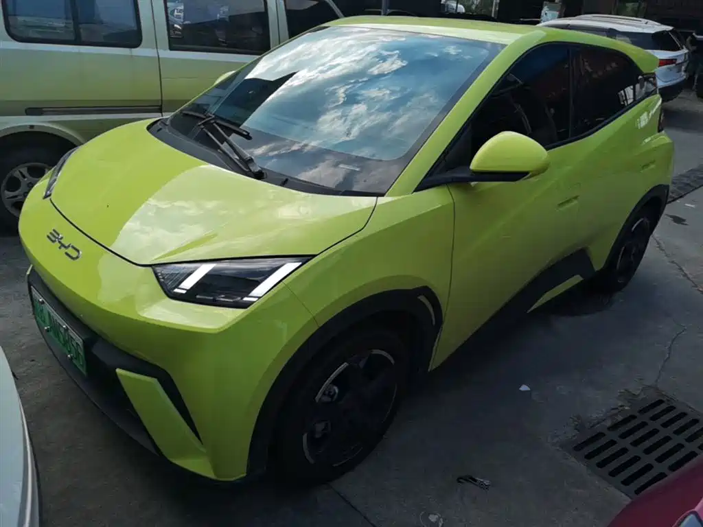 BYD Seagull 2024