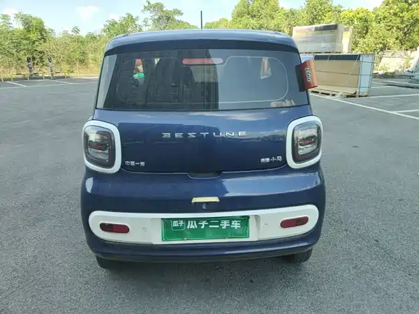 Bestune Pony 2024