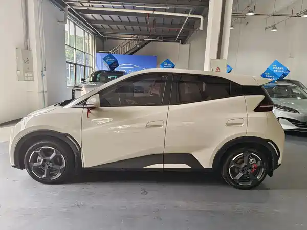 BYD Seagull 2024