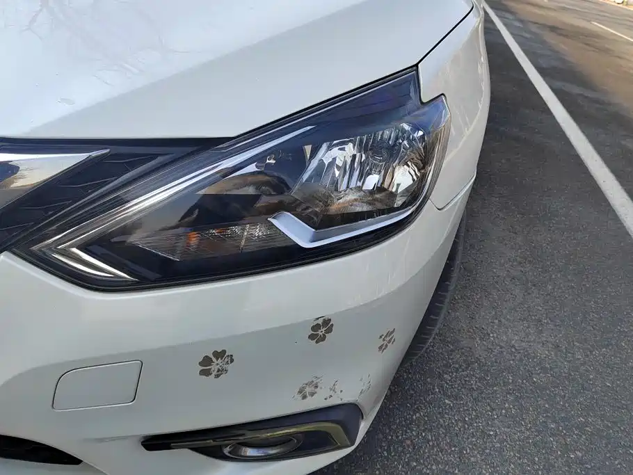 Nissan Sylphy 2019