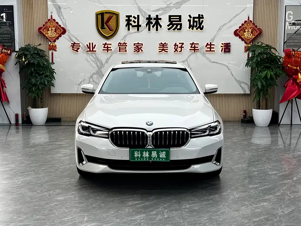 BMW 5 Series 2021