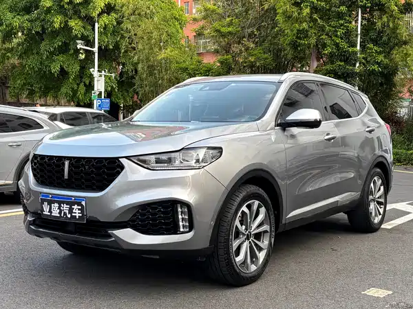Wey VV6 2019